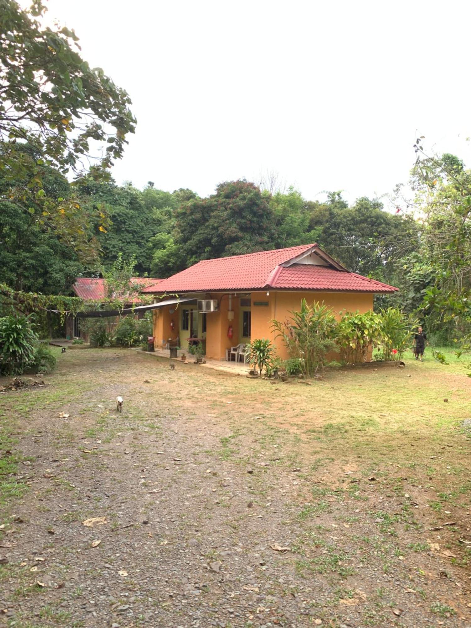 Ginger Guest Room Kuala Tahan Exterior foto